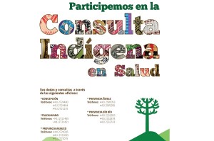 consulta indigena_0