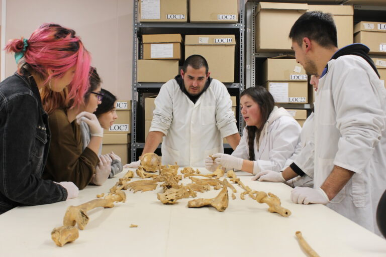 Conoce el nuevo plan de estudios de Antropología UdeC 