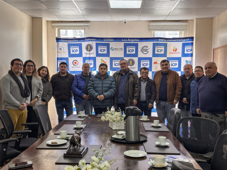 Psicología UdeC desarrolla estudio sobre riesgos laborales de conductores de taxis colectivos y transporte menor
